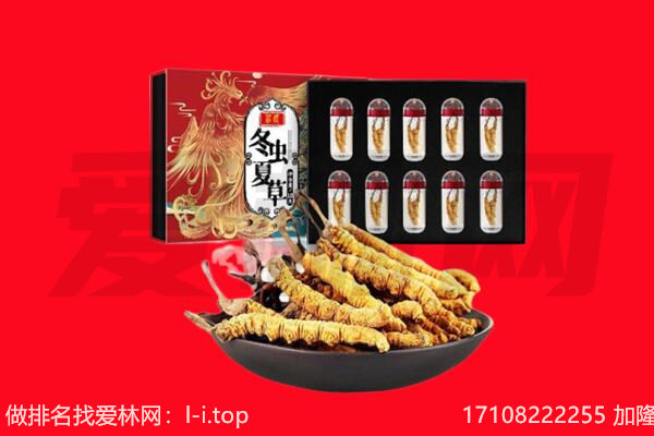 张家界回收虫草.jpg